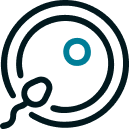 Ovulation Calculator
