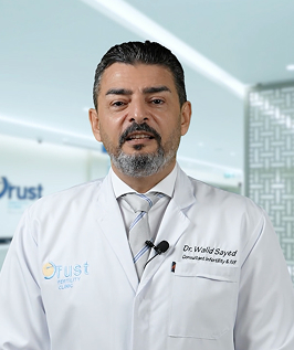Dr. Walid Sayed
