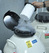Fertility Preservation Services
