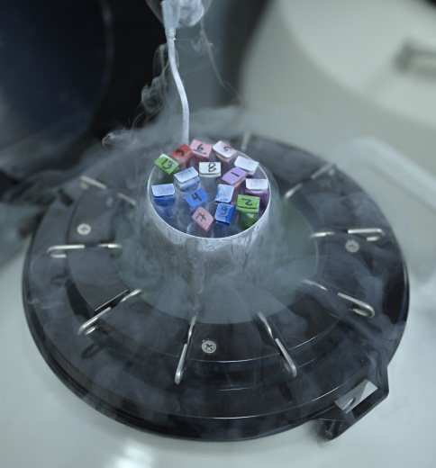 Fertility Preservation Services