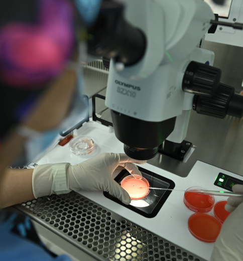 Assisted Reproductive Technologies (ART)
