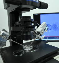 Assisted Reproductive Technologies (ART)
