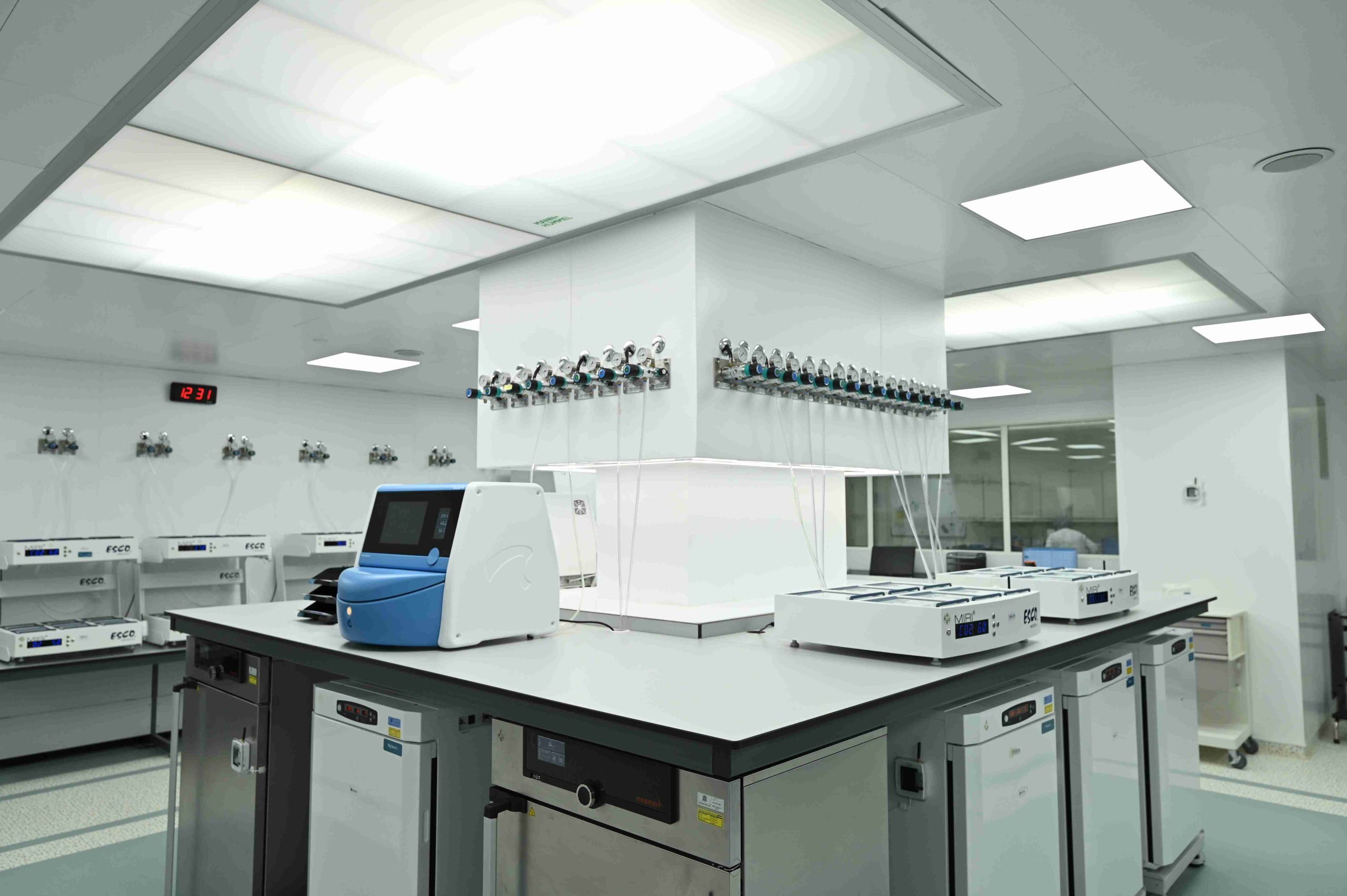 Lab 04