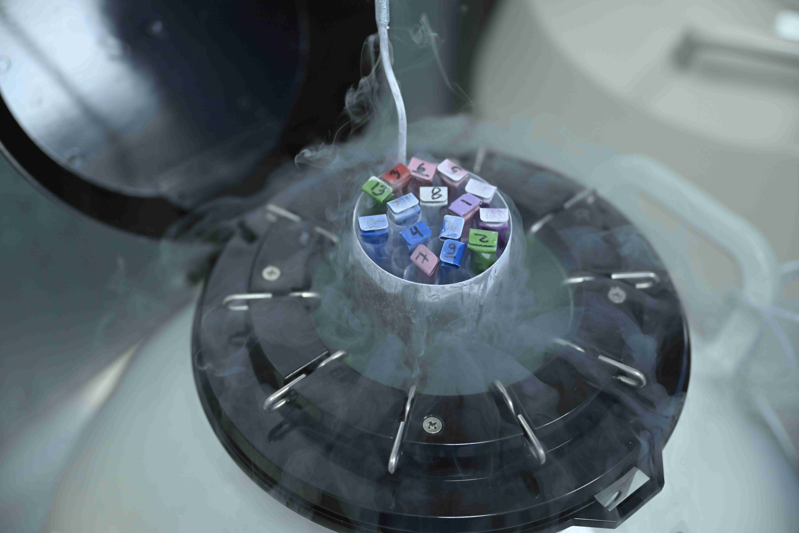Lab 08